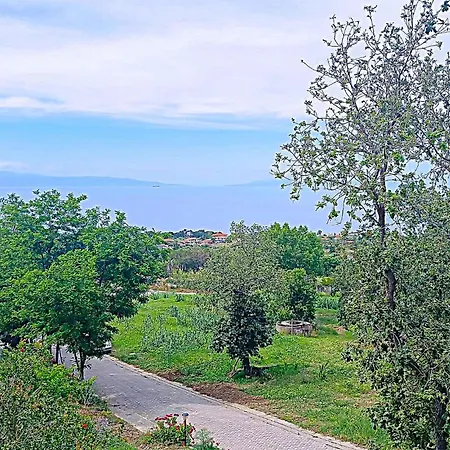 Lovely In Ricadi
